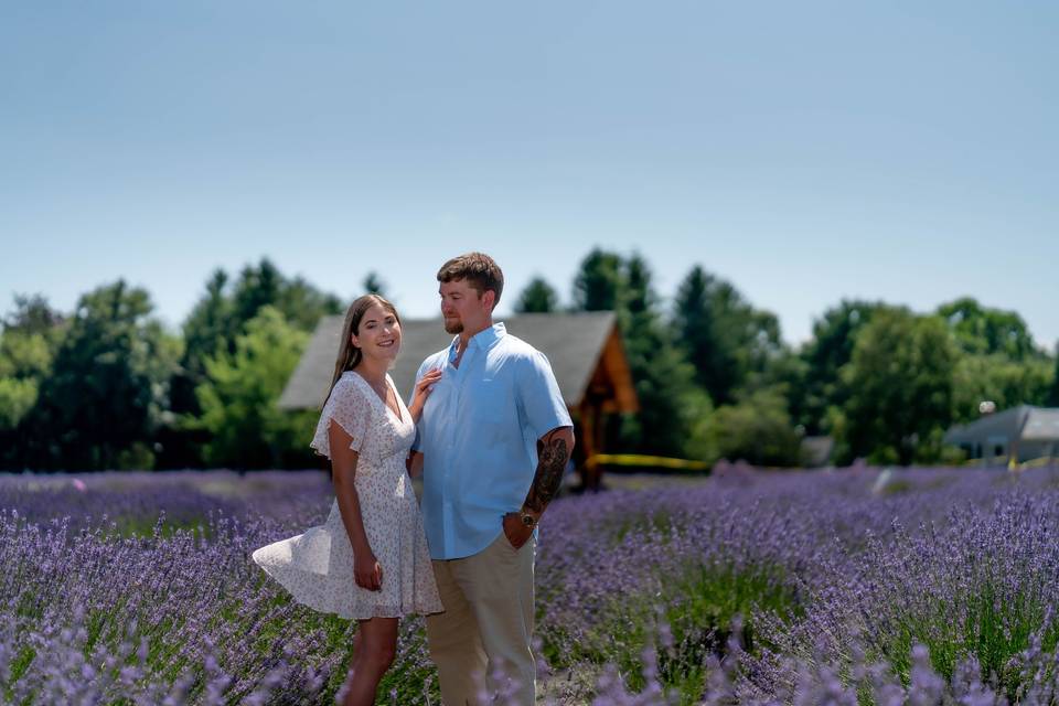 Lavender Field