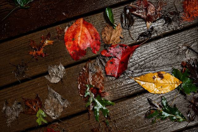 Cabin Detail Shot, Rainy Day