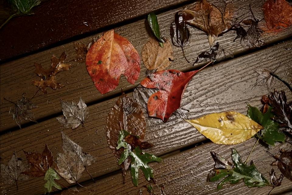 Cabin Detail Shot, Rainy Day