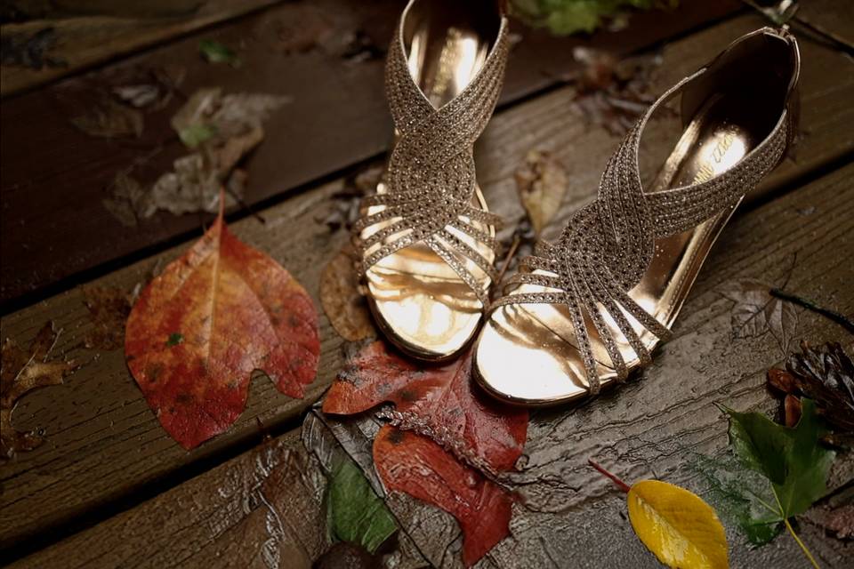 Bride's Shoes