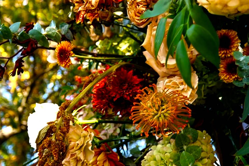 Flowers on Arch