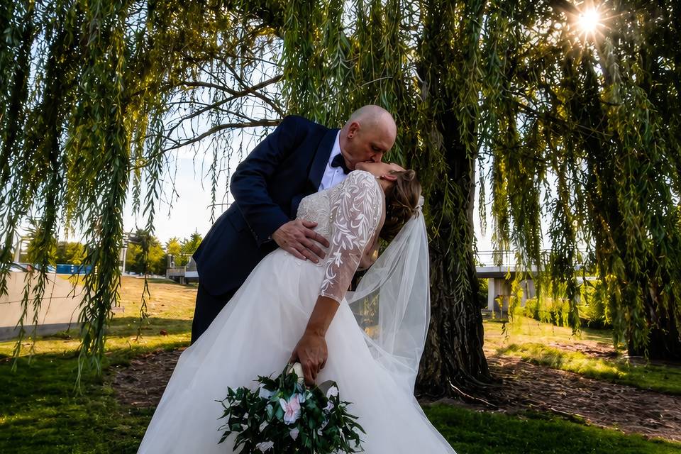 Weeping Willow