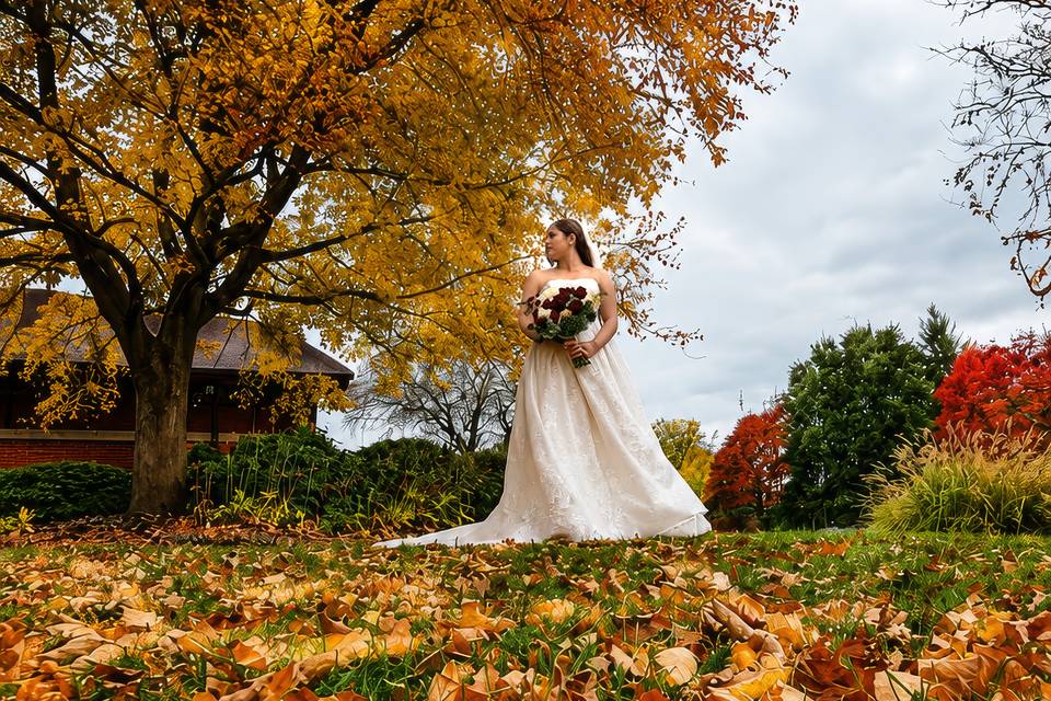 Autumn Colors