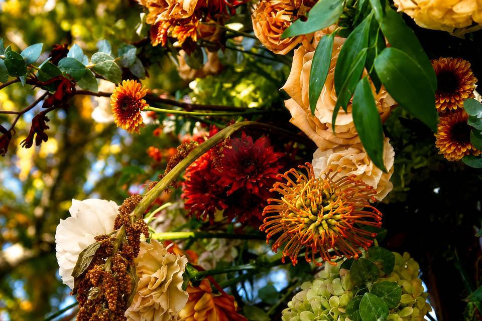 Fall Florals
