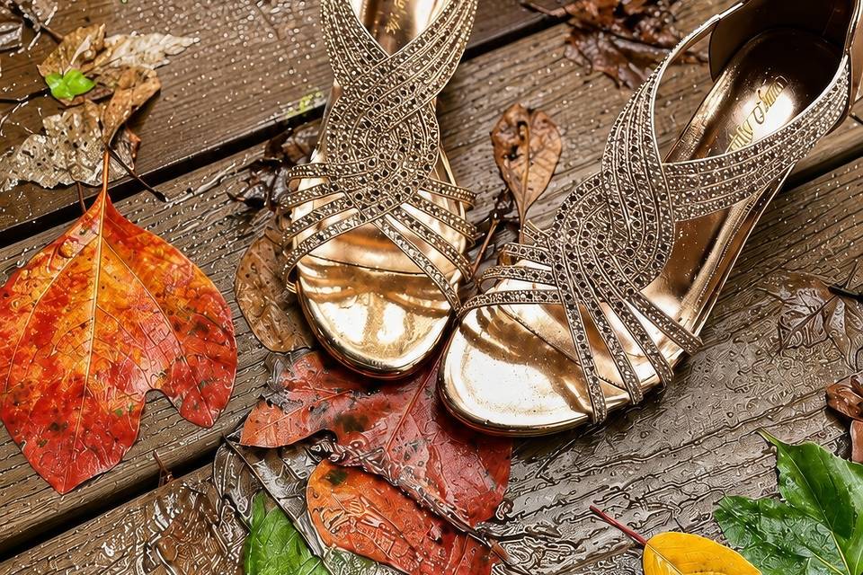 Bride's Shoes