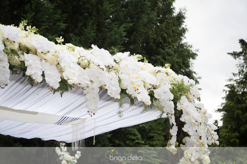 Lush Chuppah