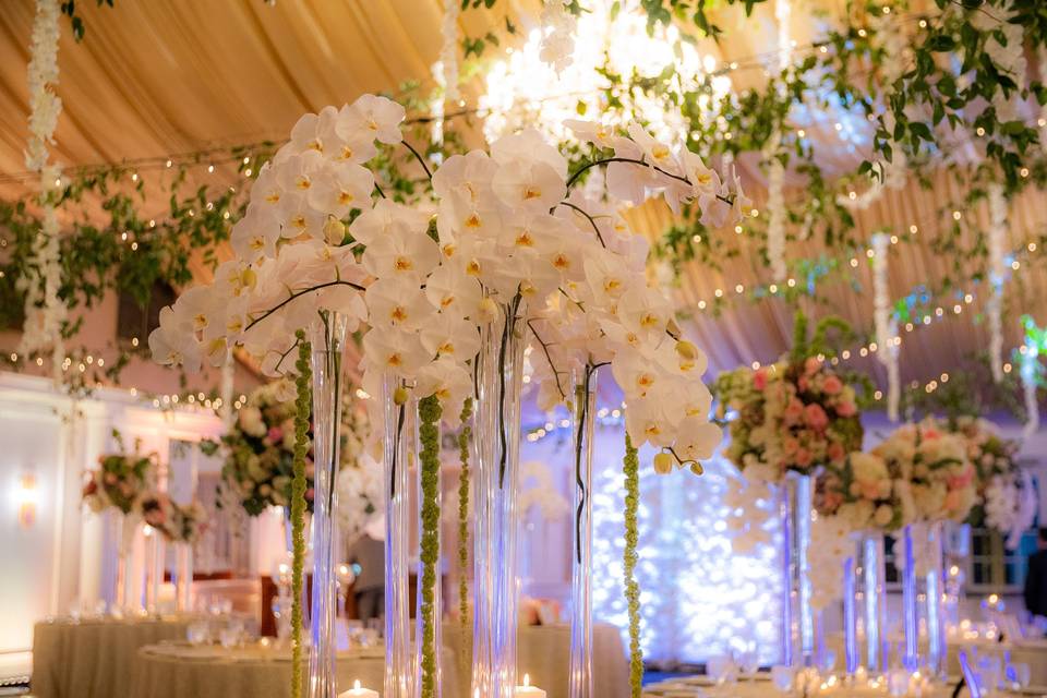 Orchid centerpiece