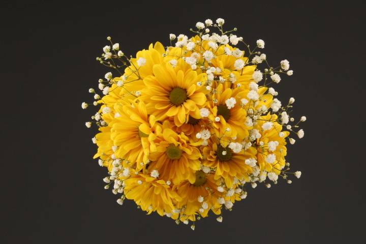 Yellow Daisi and Baby's Breath