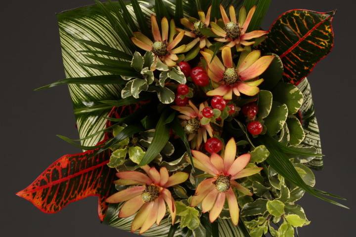 Bouquet of Tropics