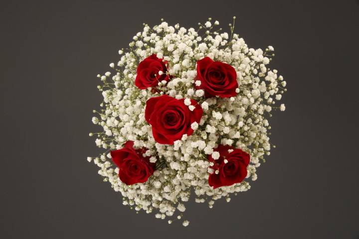 Red Roses & Baby's Breath