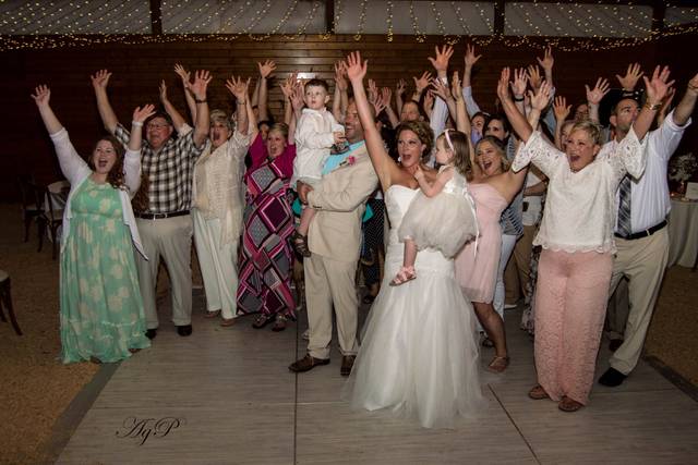 Guests of the wedding
