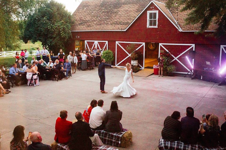 Sea Circus Weddings