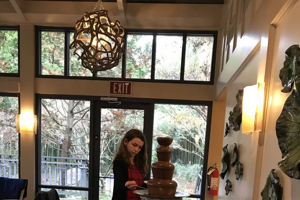 Chocolate Fountain Fun