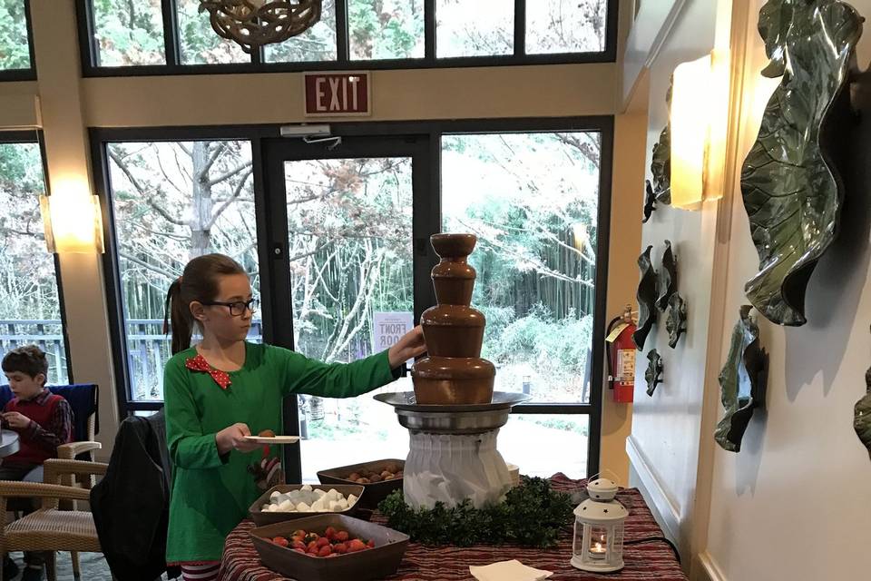 Chocolate Fountain Fun