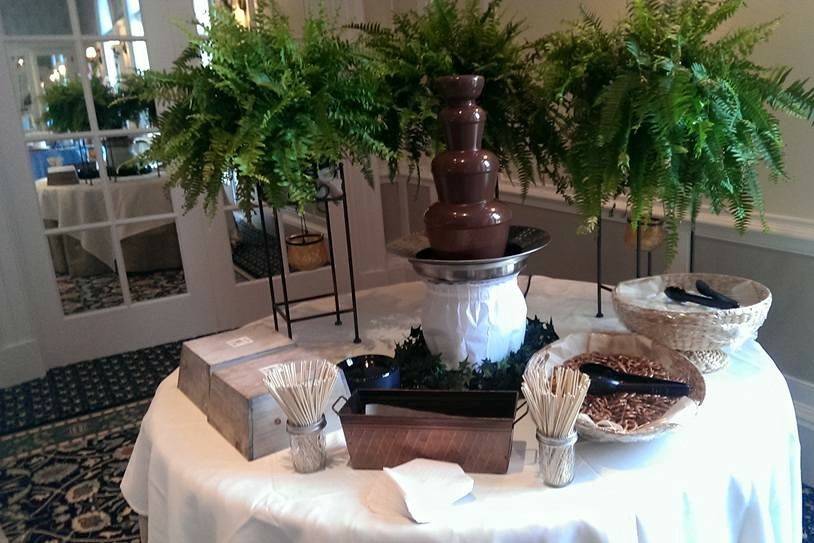 Chocolate Fountain Fun