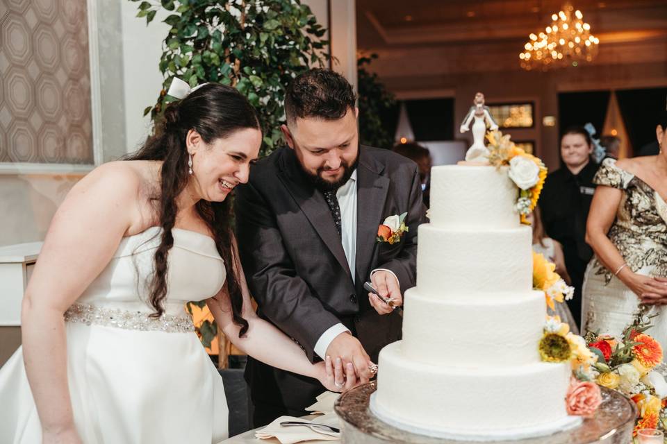 Cake Cutting