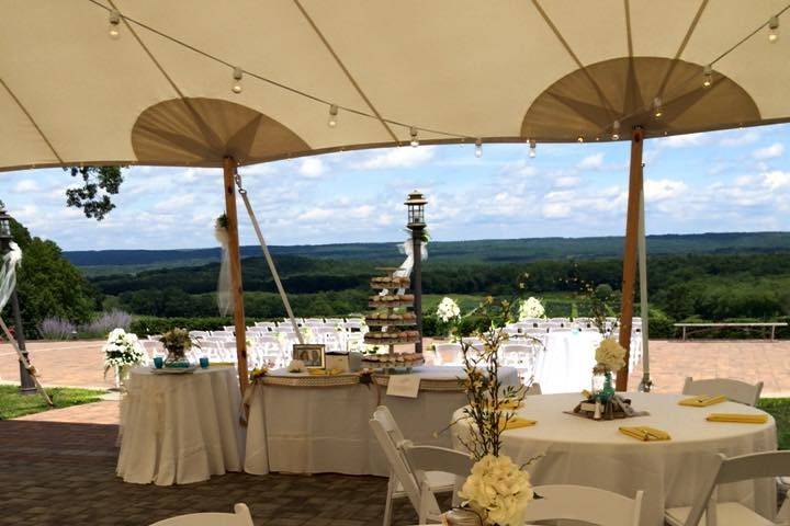 Outdoor reception set-up