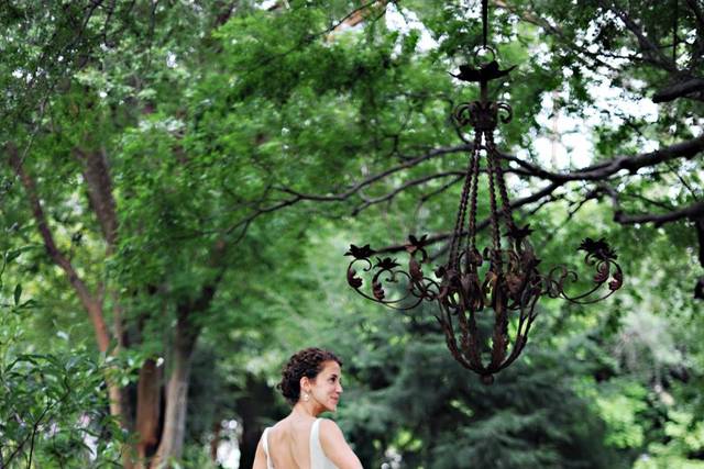 Kimberly Michelle Gibson Photography