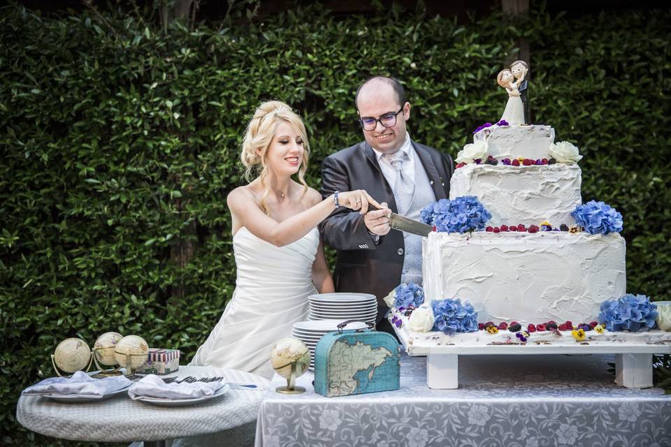 venice wedding, cake cut