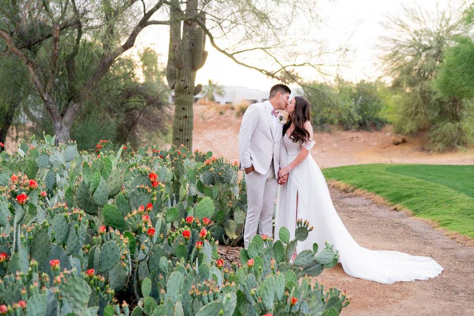 Cactus Garden