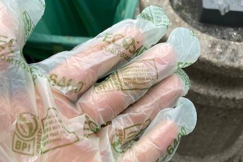 Compostable Gloves