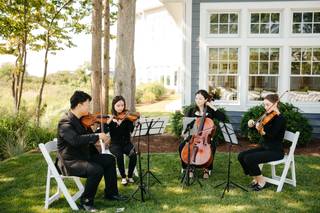 Apollo Chamber Music