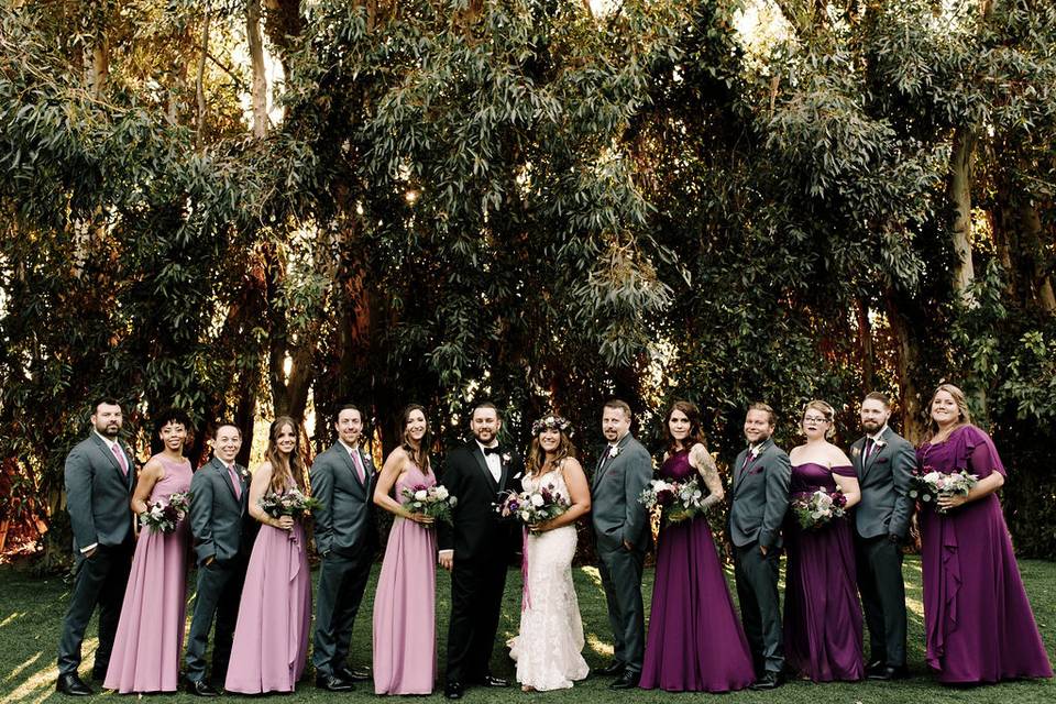 Violet wedding party