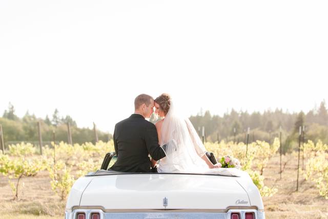 Mistry and Scott Photography