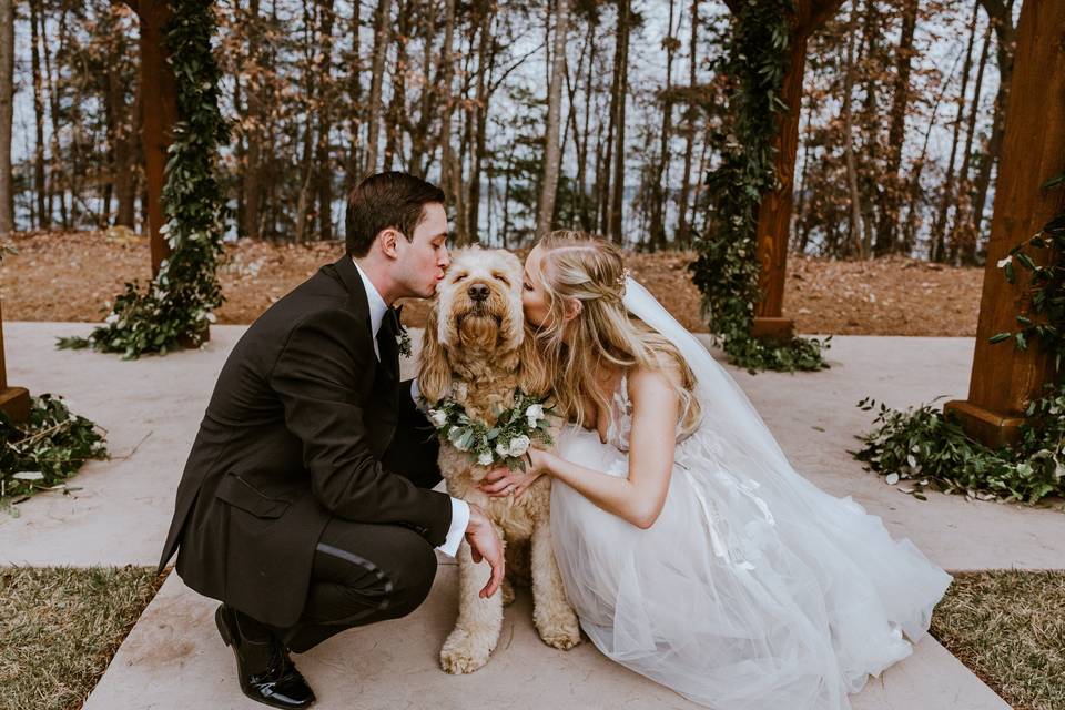 Pet-Friendly Weddings