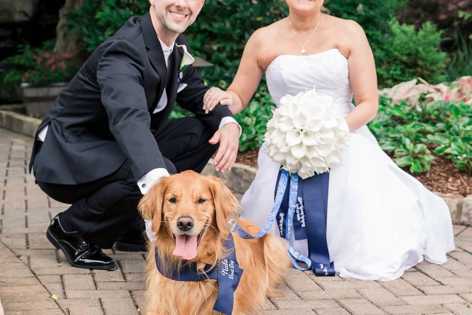 Pet-Friendly Weddings