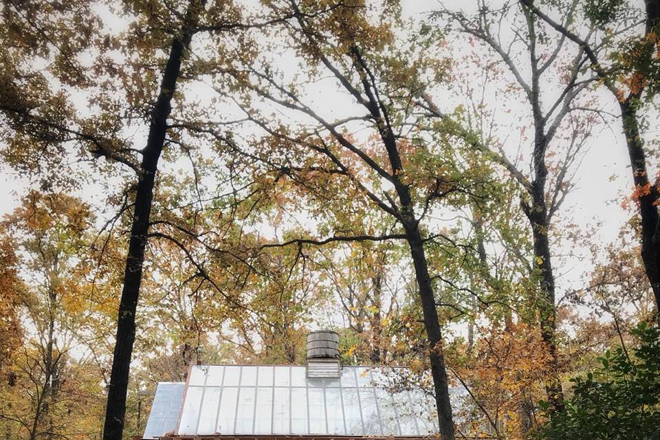 Greenhouse in the fall