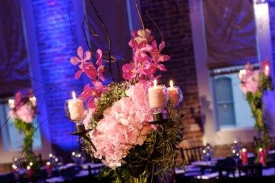 Pink flowers in a blue-lit room