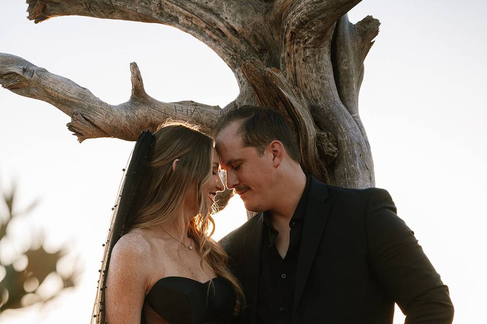 Moody Arizona Vow Renewal
