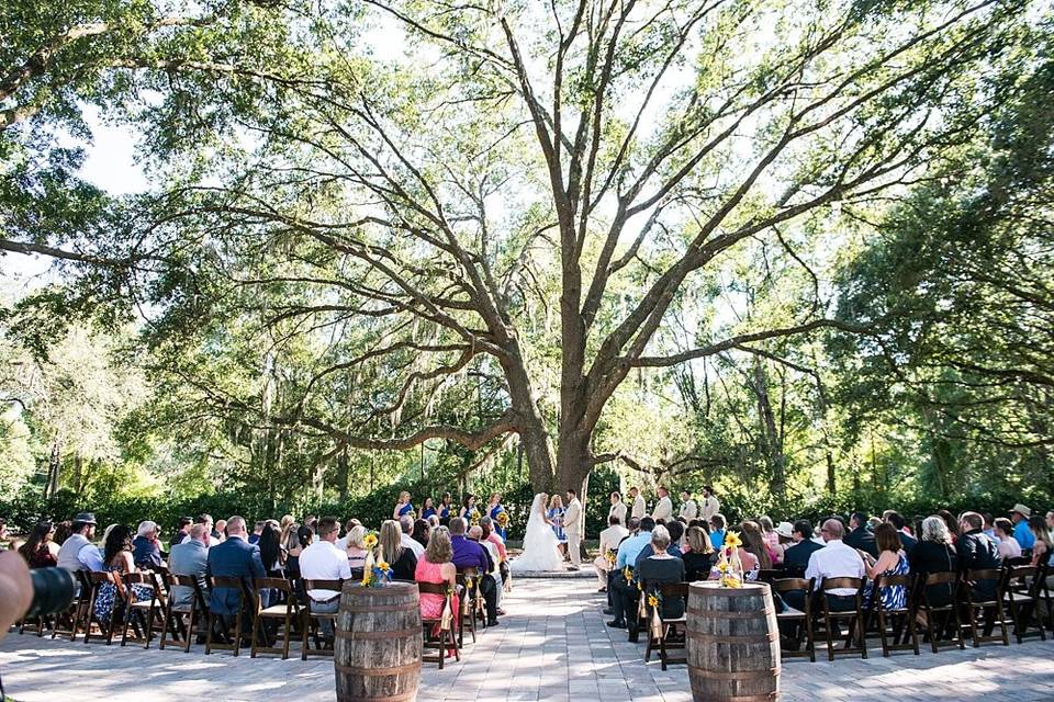 Bowing Oaks