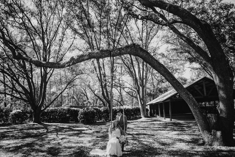 On the swing