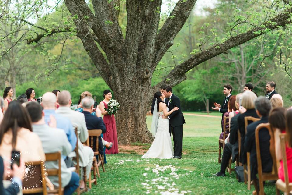 Ceremony under the tree