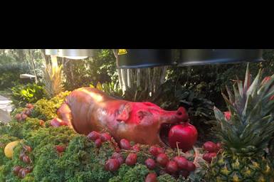 Whole Pig Roasts to WOW guests