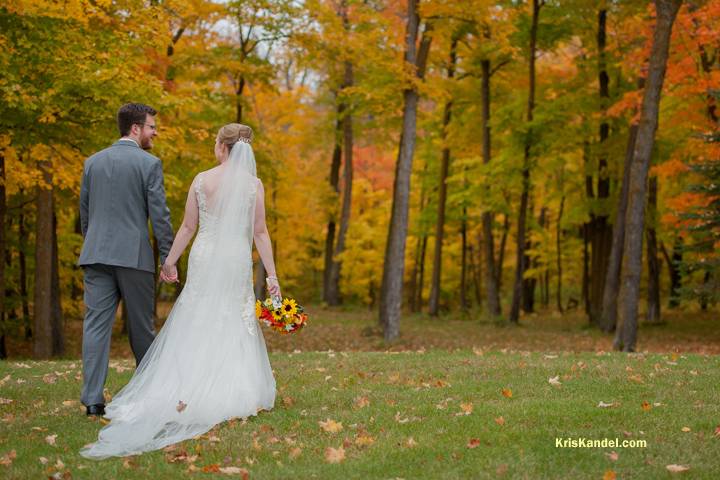 Autumn wooded setting