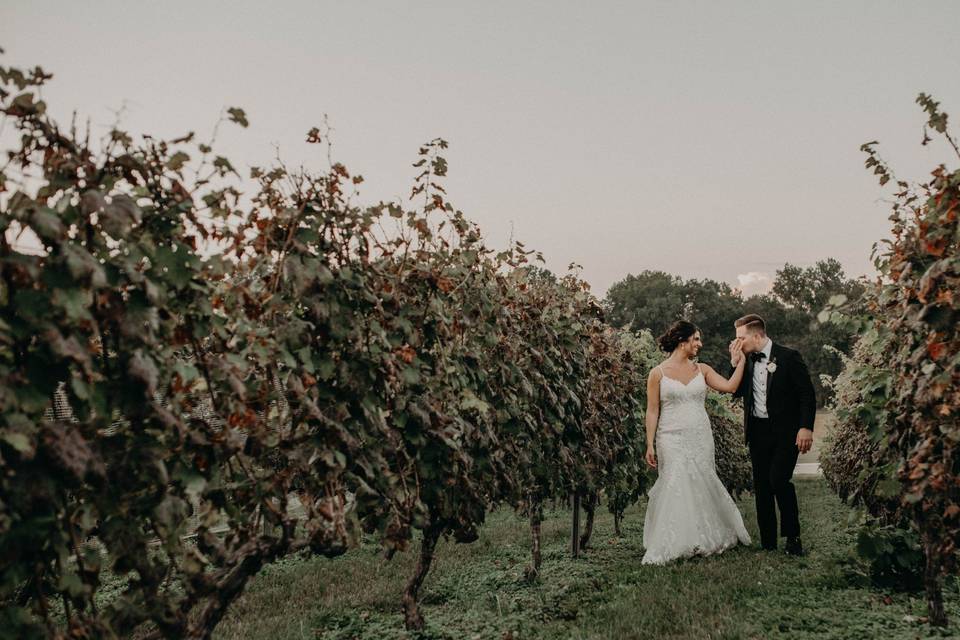 Walk through the orchard