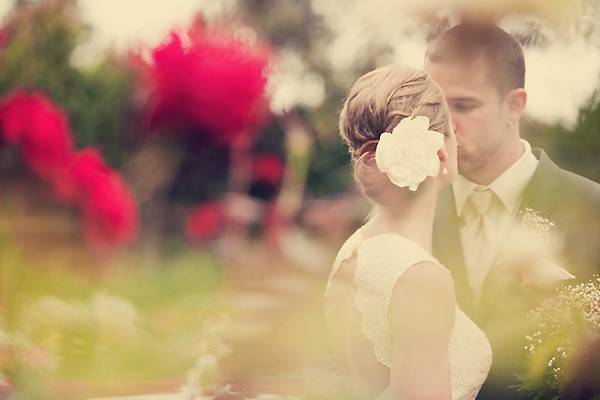 Maryanne McGuire Photography