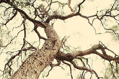 Maryanne McGuire Photography