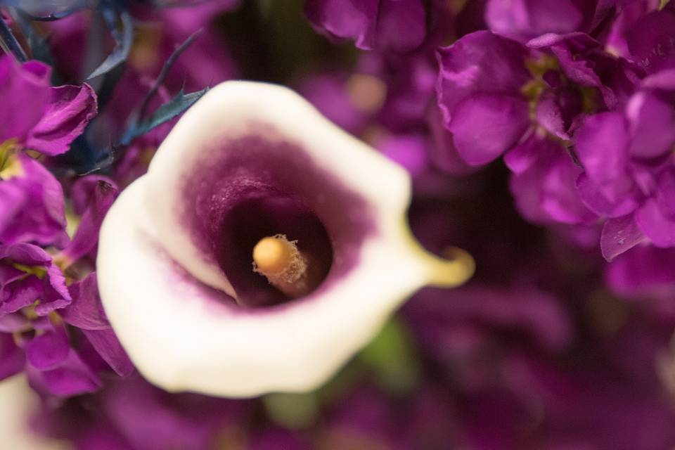 Details | By Concept Studios Photography