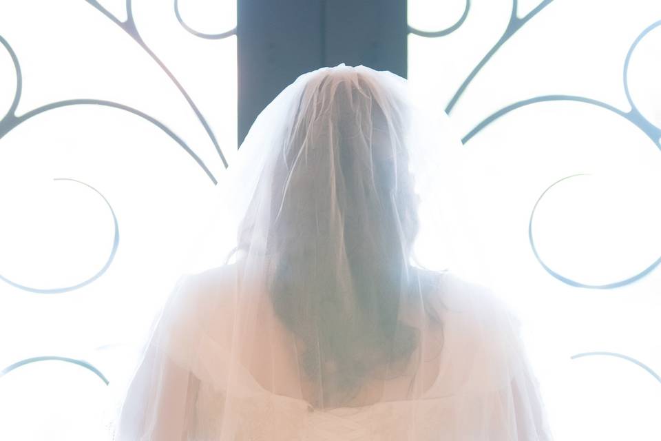 Bride in veil | By Concept Studios Photography