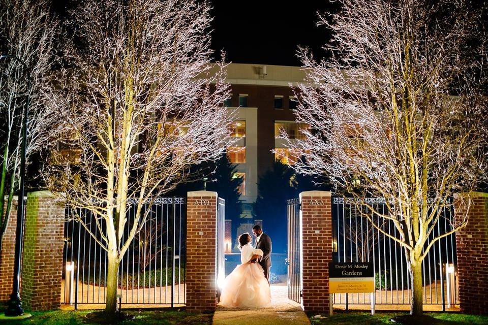 Newlyweds and evening lights