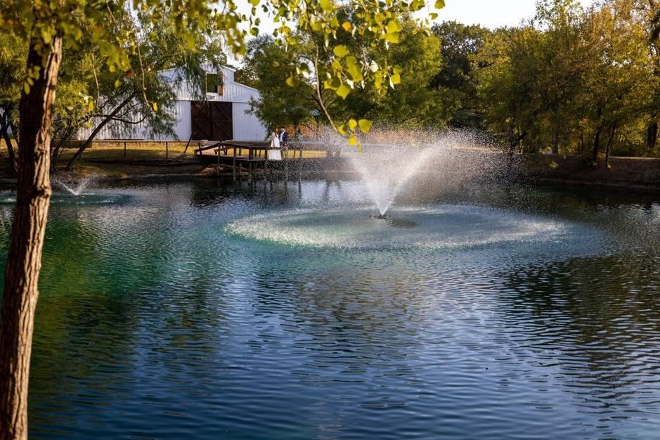 Our new fountain