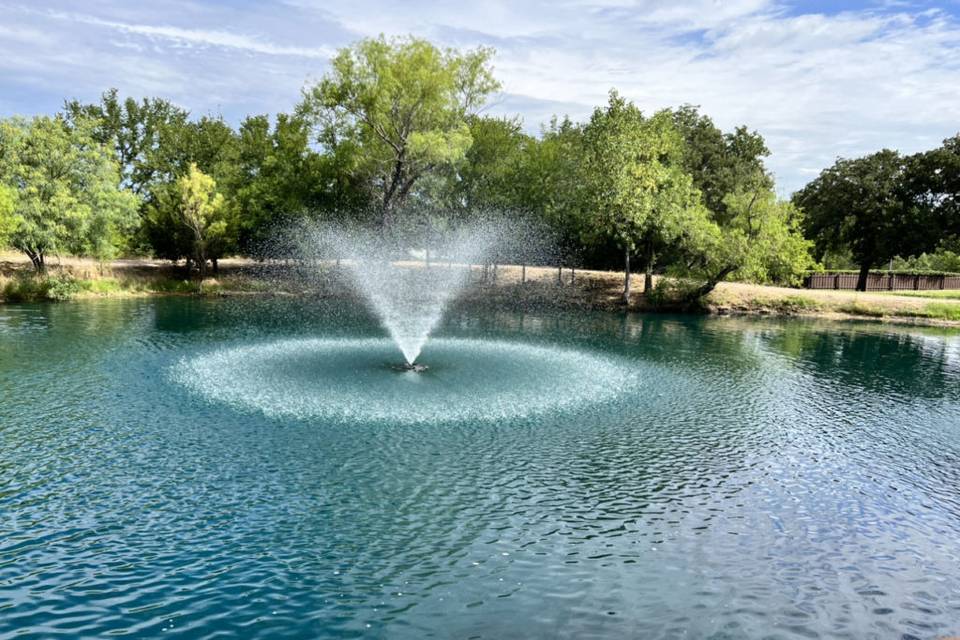 Our fountain & pond