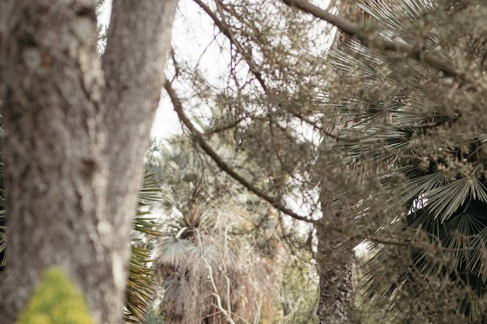 Couple near pond