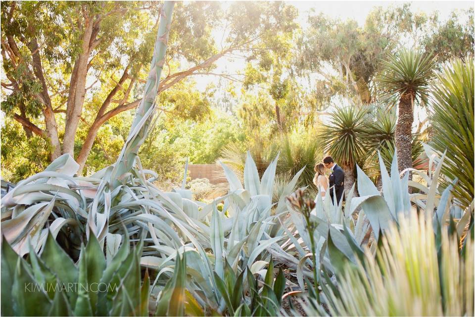 The Ruth Bancroft Garden