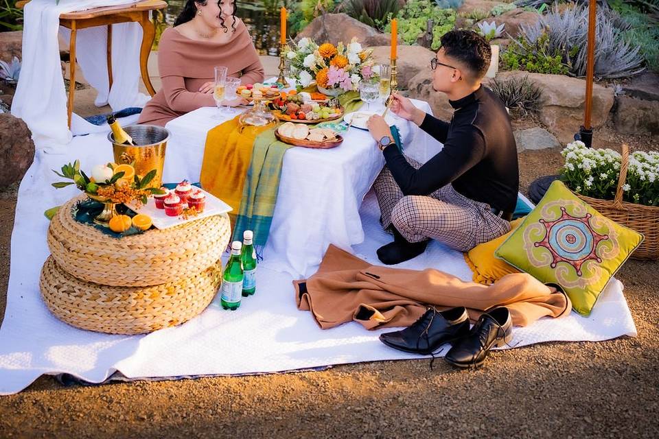 Picnic in garden