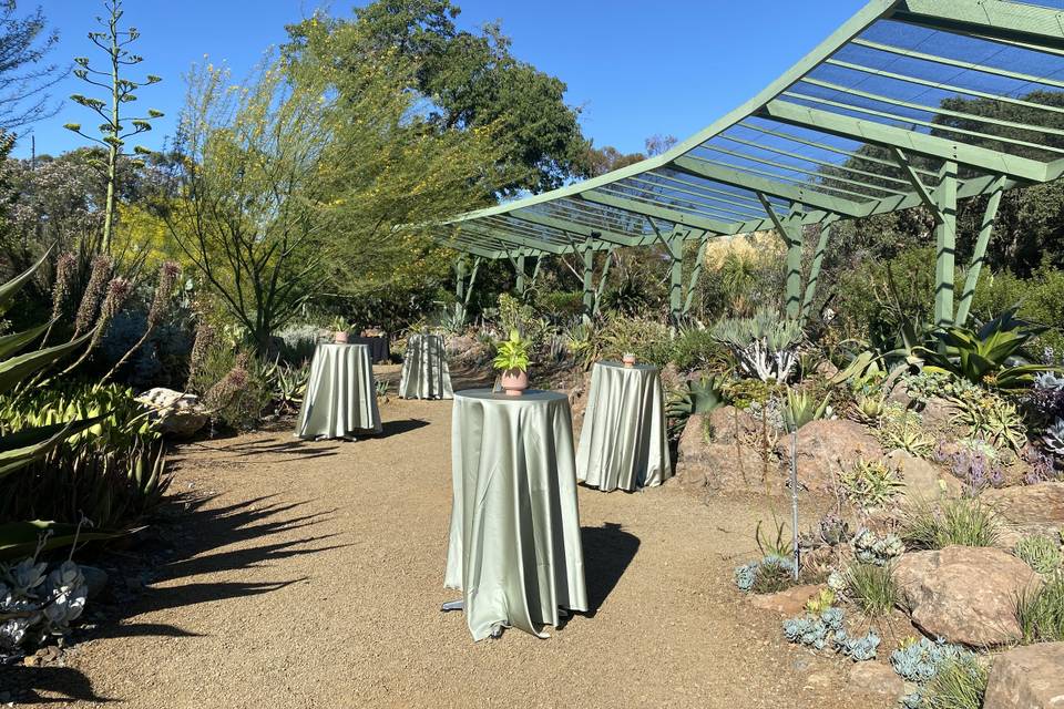Cocktails at Succulent Island